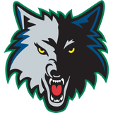 Timberwolves ALT 1997 2008