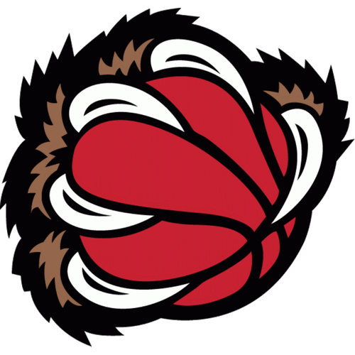 Grizzlies ALT 1996 2004.png