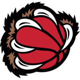 Grizzlies ALT 1996 2004
