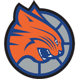 Bobcats ALT 2005 2007