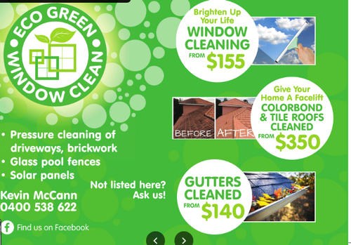Gutter cleaner.png