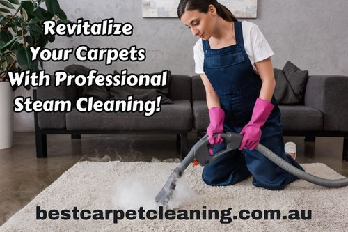 Professional Carpets Steam Cleaning.jpg