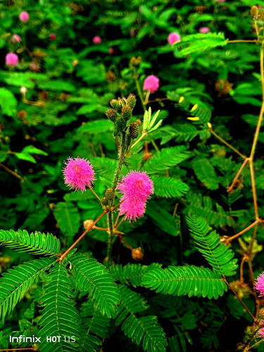 IMG 20230918 104359 167.jpg