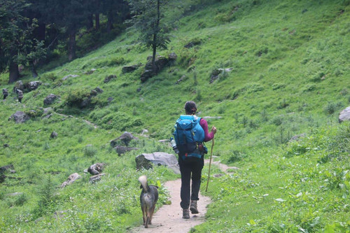 Solo Trip Packages In India.jpg