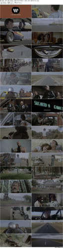 Mad.Max.1979.UHD.BluRay.2160p.DTS HD.MA5.1.x265.10bit.HDR BeiTai preview.jpg