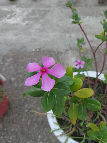 IMG20230604183919.jpg
