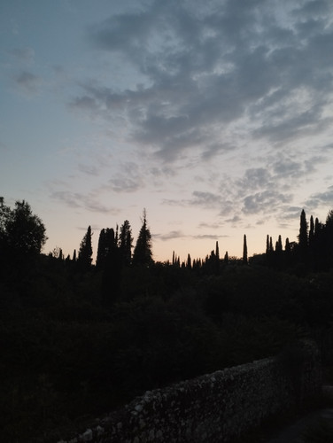 IMG 20230814 205856.jpg