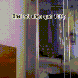 kot1.gif