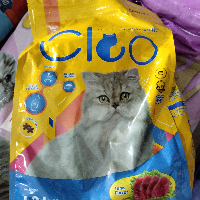 a89e82c2ac20.png