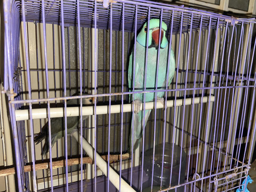 C95FEC4F EF34 4DB9 AE36 AA670DA69E40.jpg