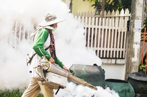 Dublin's Premier Pest Control Service.jpg