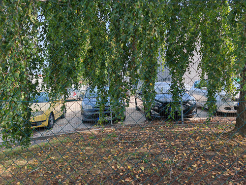 IMG 20230913 111331.jpg