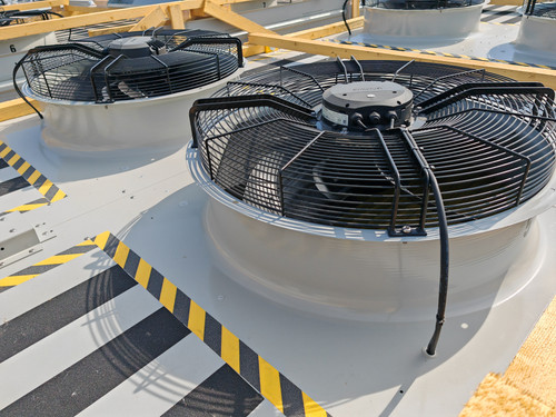 IMG 20230913 111025.jpg