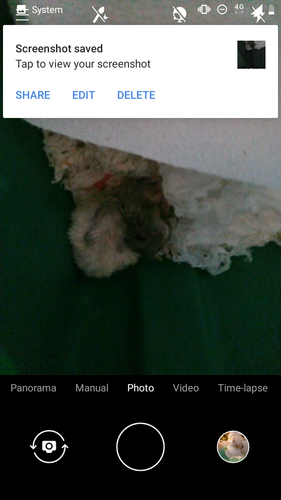 Screenshot 20220727 135420.png