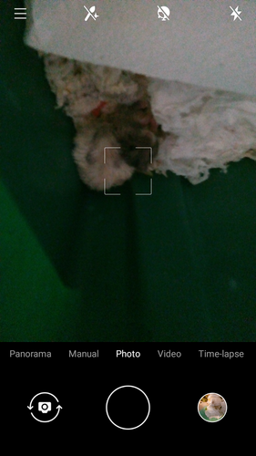 Screenshot 20220727 135413.png