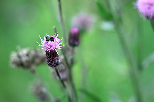 IMG 5326 1.jpg