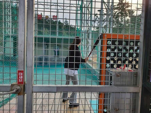 baseball optimized.jpg