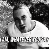 i am whatever you say i am.gif