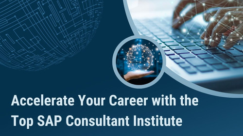 Accelerate Your Career with the Top SAP Consultant Institute.jpg