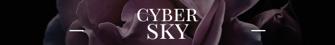 cybersky banner.png