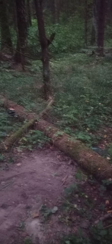 IMG 20230912 191031.jpg