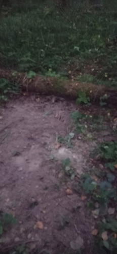 IMG 20230912 191109.jpg