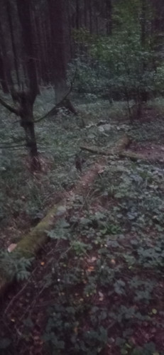IMG 20230912 191154.jpg