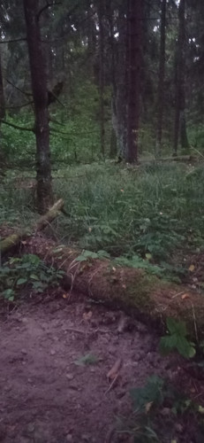 IMG 20230912 191051.jpg