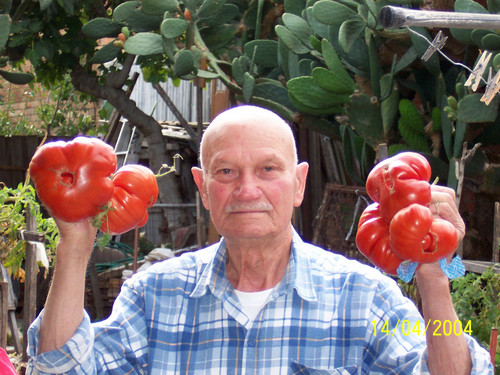 Giuseppe Torcasio Portrait.jpg