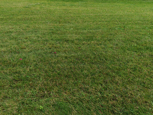 IMG 20230914 132056.jpg