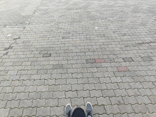 IMG 20230914 123023.jpg