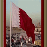 169465075411957280 (5).gif