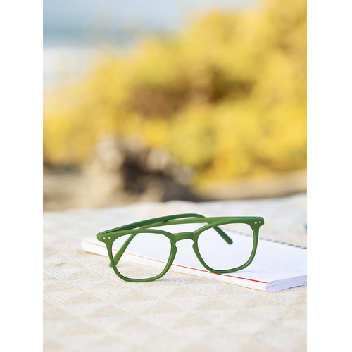 BATCH 15 FIESTA BP20793 SOFT OLIVE GREEN 02.png