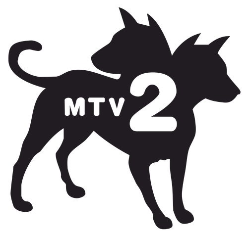 mtv2.png