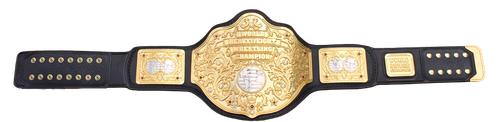Belt World Champ1(1).png