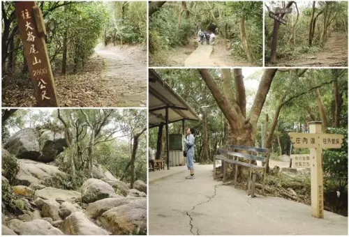 00007 內湖步道通往金面山親山步道叉路.webp