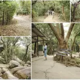 00007 內湖步道通往金面山親山步道叉路