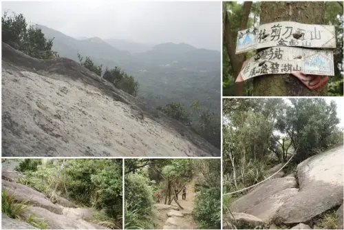 00018 金面山親山步道.webp