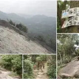 00018 金面山親山步道