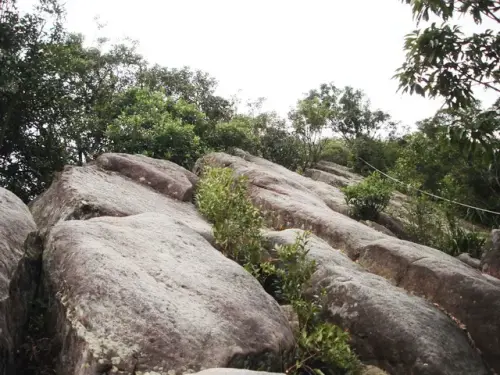00009 石龍山稜.webp