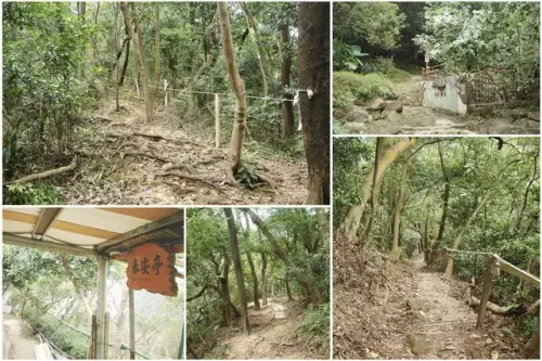 00020 泰安亭.webp