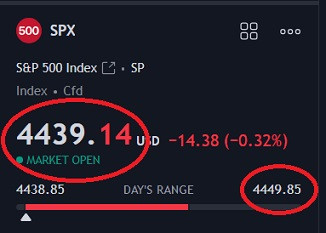 tsla 8223.jpg