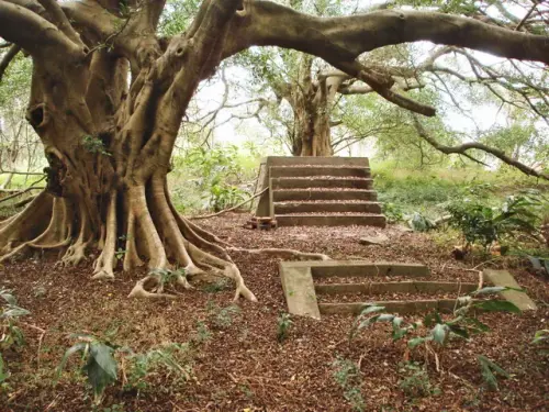 00006 崎頂神社.webp