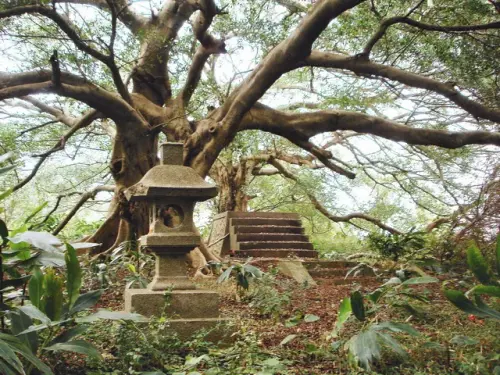 00000 崎頂神社.webp