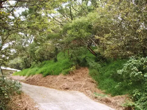 00005 崎頂神社.webp