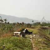 00015 石墻村眺望客屬大橋