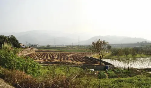 00014 石墻村.webp