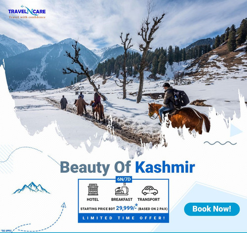 EXPLORE THE BEAUTY OF KASHMIR WITH TRIPNCARE.jpg