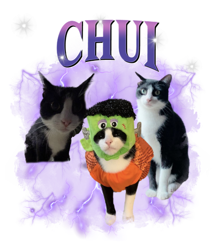 chui.png