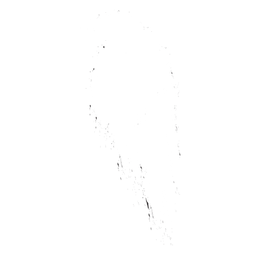 White PNG.png